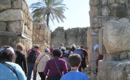 010-Megiddo-AncientGate